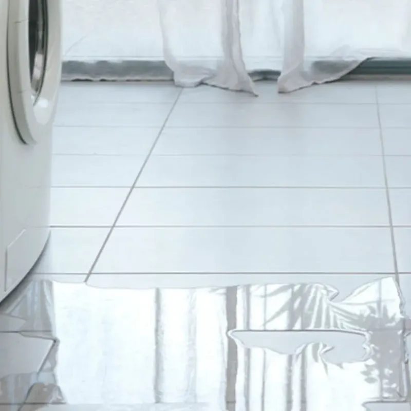 Appliance Leak Cleanup in Hendricks County, IN