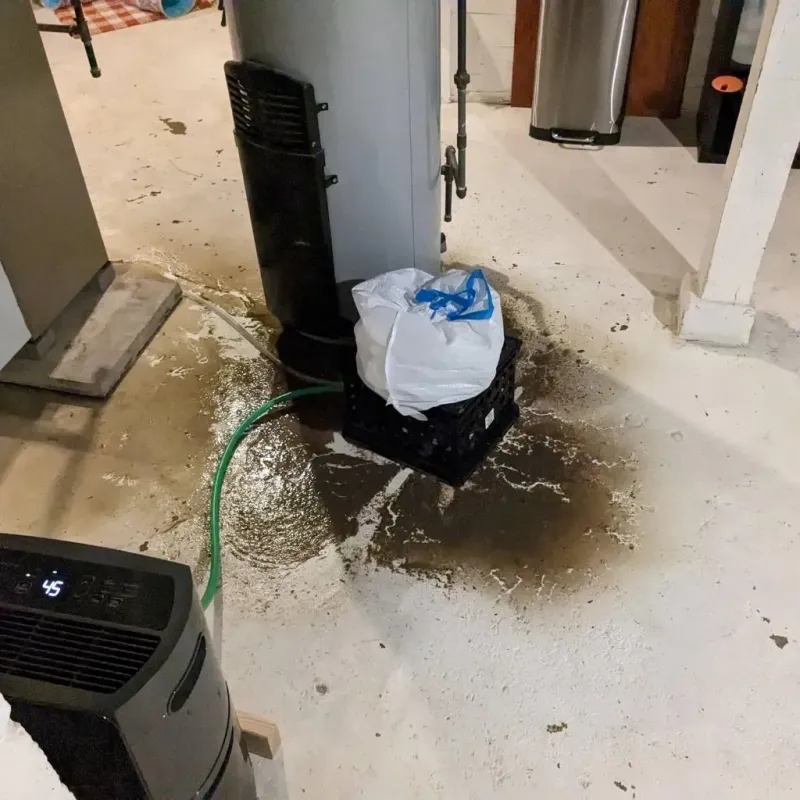 Sewage Backup Cleanup Service in Hendricks County, IN